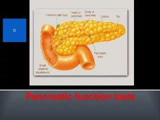 Pancreatic function tests