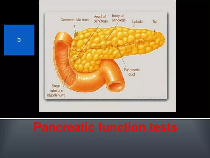 pancreatic function tests