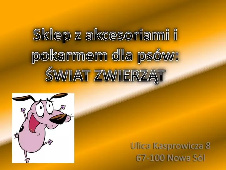 ulica kasprowicza 8 67 100 nowa s l