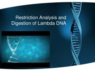 Restriction Analysis and Digestion of Lambda DNA