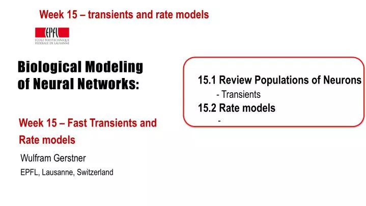 biological modeling of neural networks