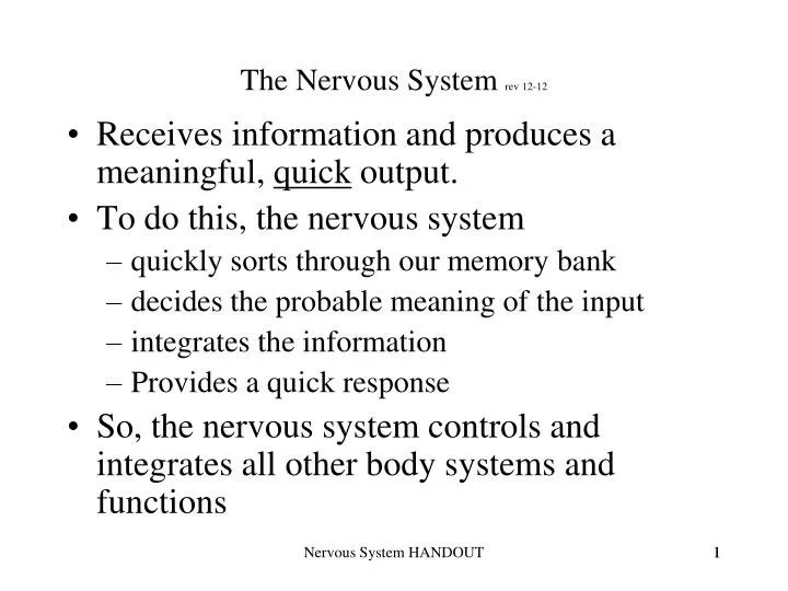 the nervous system rev 12 12