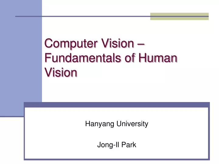 computer vision fundamentals of human vision
