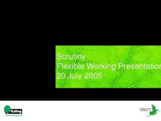 Scrutiny Flexible Working Presentation	 20 July 2005