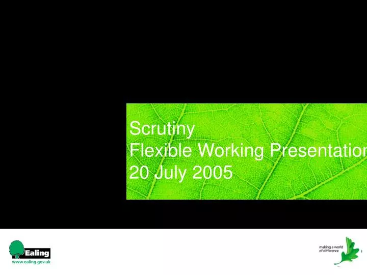 scrutiny flexible working presentation 20 july 2005