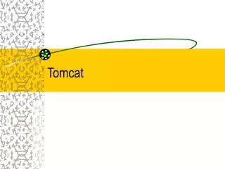 tomcat