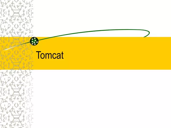tomcat