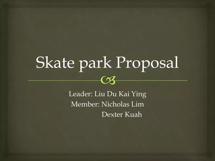skate park proposal