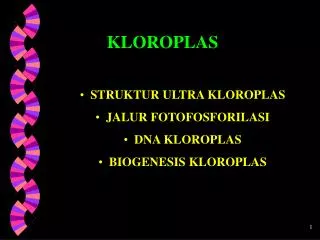 STRUKTUR ULTRA KLOROPLAS JALUR FOTOFOSFORILASI DNA KLOROPLAS BIOGENESIS KLOROPLAS