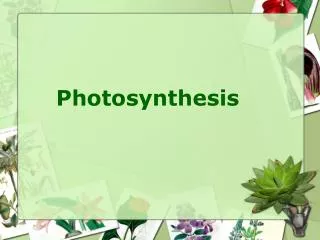 Photosynthesis