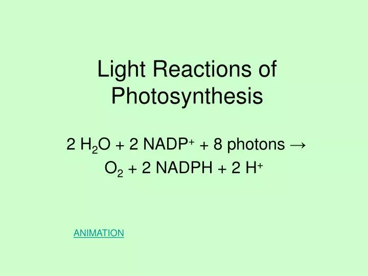 light reactions of photosynthesis