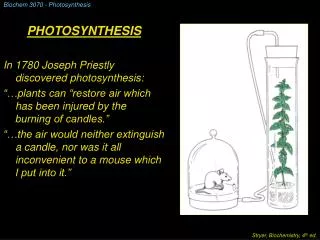 Biochem 3070 - Photosynthesis