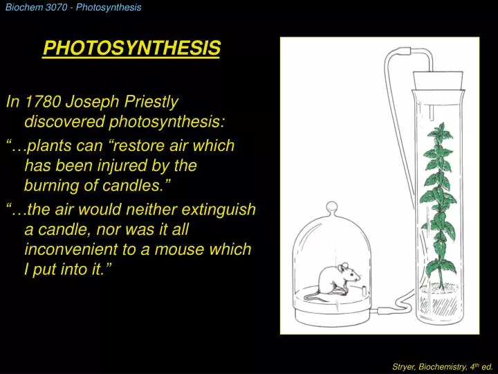 biochem 3070 photosynthesis