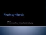 Photosynthesis - slide 1