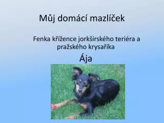 m j dom c mazl ek