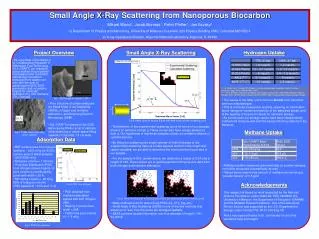 Small Angle X-Ray Scattering from Nanoporous Biocarbon