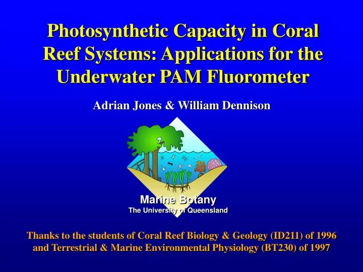 photosynthetic capacity in coral reef systems applications for the underwater pam fluorometer