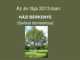 az v f ja 2013 ban