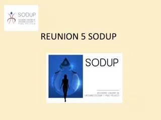 REUNION 5 SODUP