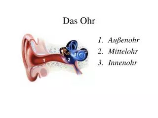 das ohr