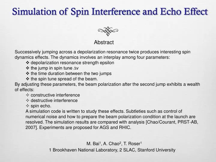 simulation of spin interference and echo effect