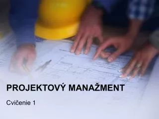 projektov mana ment
