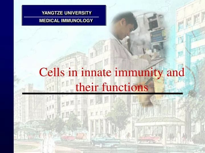 cells in innate immunity and their functions
