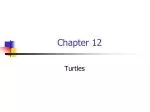Understanding Turtles: Evolution, Characteristics, and Distribution - slide 1
