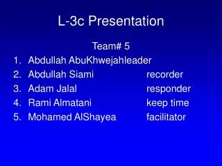 L-3c Presentation