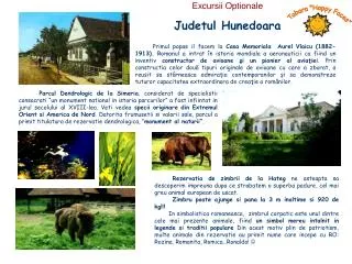 judetul hunedoara