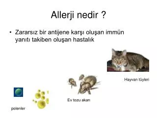 allerji nedir
