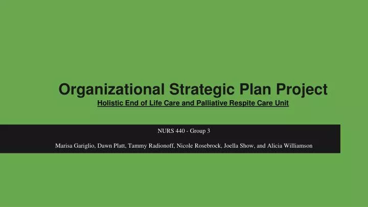 organizational strategic plan project holistic end of life care and palliative respite care unit