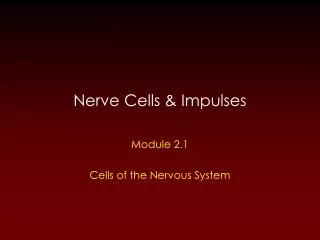 Nerve Cells &amp; Impulses