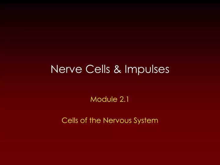 nerve cells impulses