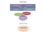Path to Rehabilitation: Prison Credit System Boosts Inmate Skills - slide 1