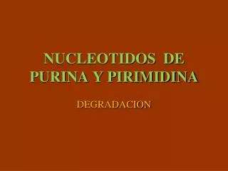 nucleotidos de purina y pirimidina