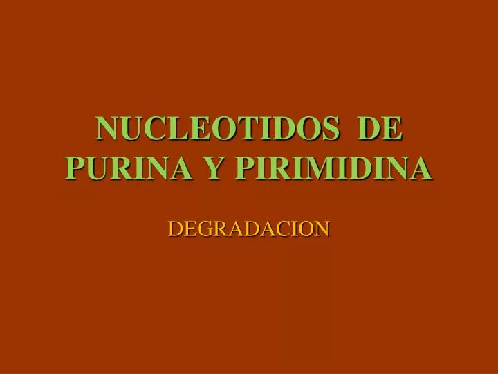 nucleotidos de purina y pirimidina