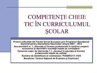 competen e cheie tic n curriculumul colar