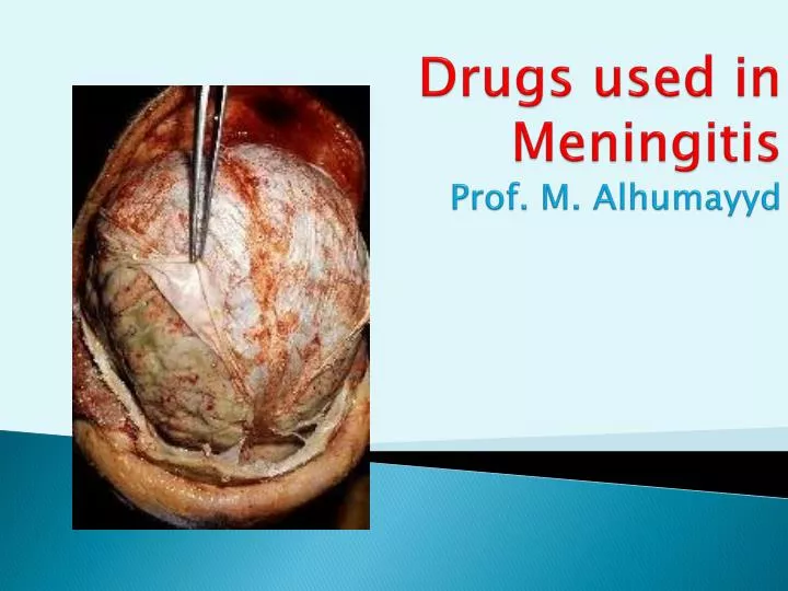 drugs used in meningitis prof m alhumayyd