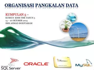 organisasi pangkalan data