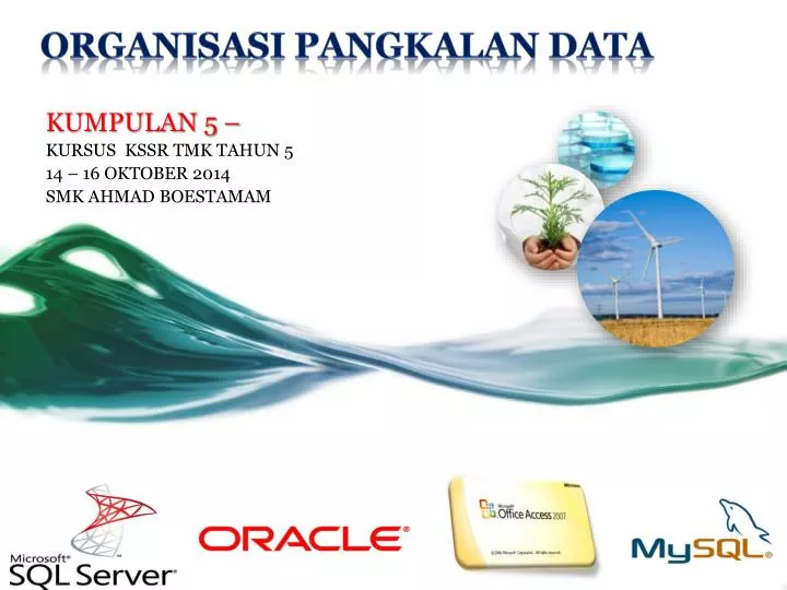 organisasi pangkalan data