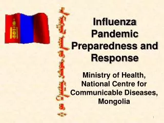 Influenza Pandemic Preparedness and Response