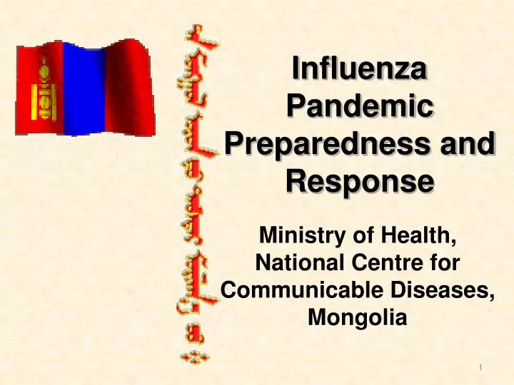 influenza pandemic preparedness and response