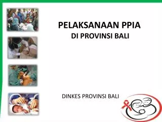 pelaksanaan ppia di provinsi bali