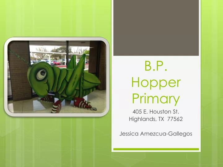 b p hopper primary