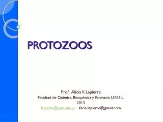protozoos