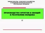 ПРОИЗВОДСТВО ФРУКТОВ И ОВОЩЕЙ В РЕСПУБЛИКЕ МОЛДОВА - slide 1