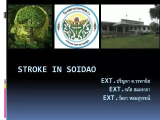 stroke in soidao