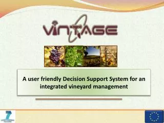 A user friendly Decision Support System for an integrated vineyard management