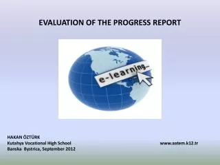 EVALUATION OF THE PROGRESS REPORT